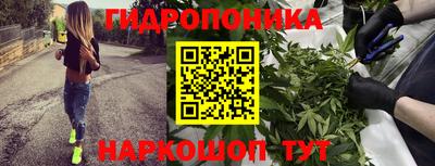 гашиш Новодвинск
