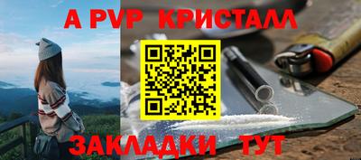 ECSTASY Новозыбков