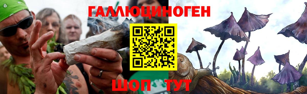 Галлюциногенные грибы GOLDEN TEACHER  Вход с VPN  Алатырь 